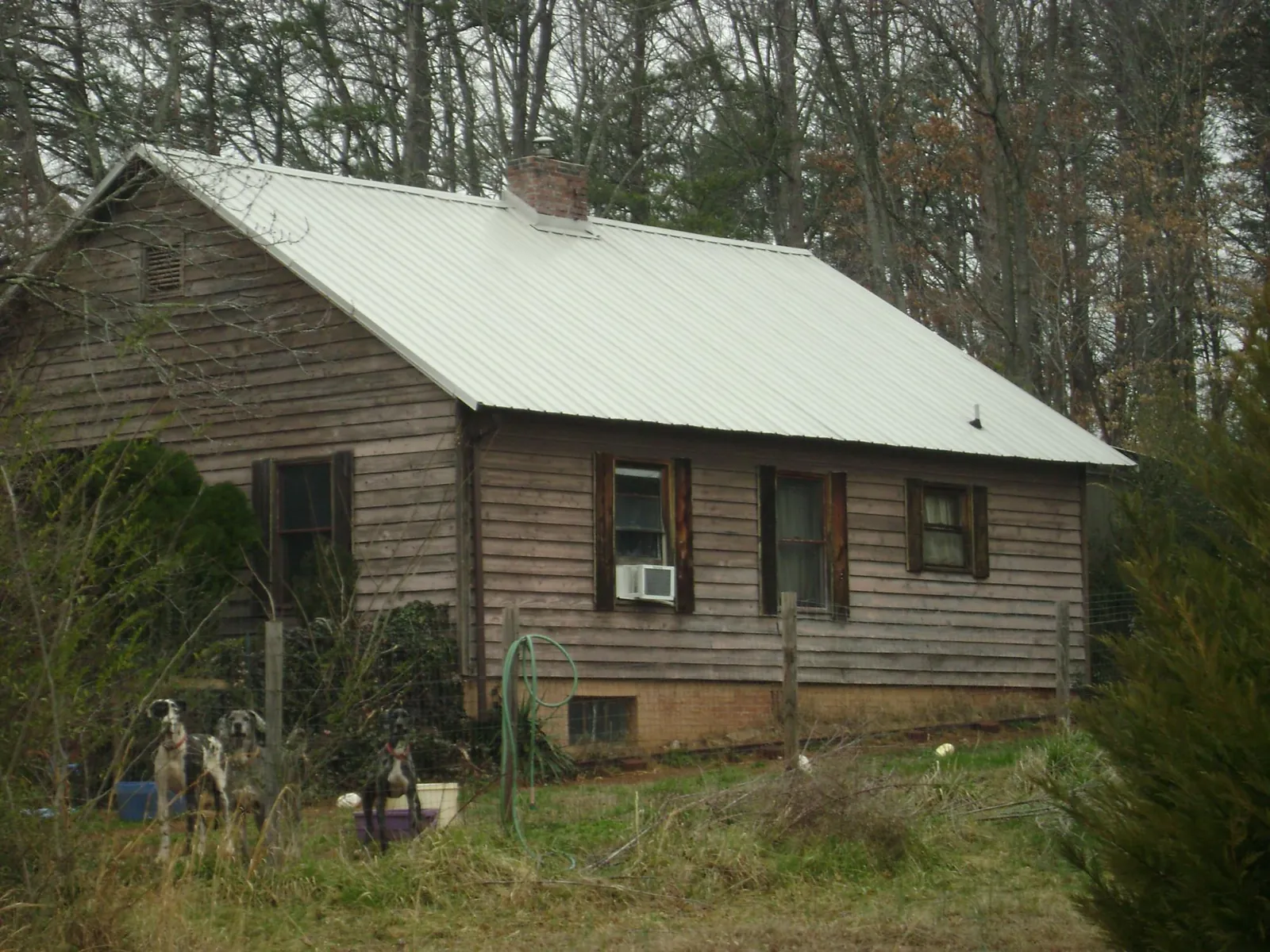 White metal roof on an old wood sided farmhouse, from a Metal Roof Installation job in Thornton